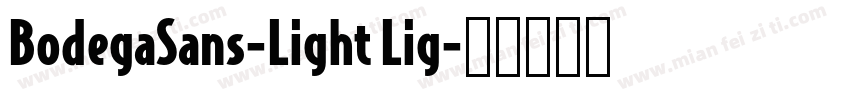 BodegaSans-Light Lig字体转换
